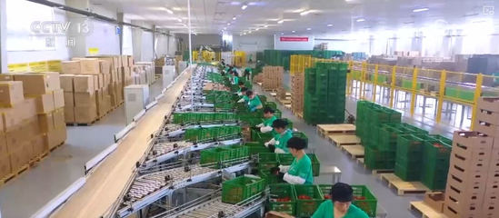 100億、10億、8.7萬億!鄉(xiāng)村特色產(chǎn)業(yè)領(lǐng)域拓寬 發(fā)展韌性強(qiáng)