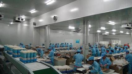 一場一品丨五四農場九道菇