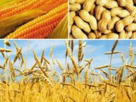 農副產品銷售免稅政策 有那些