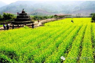 看英國鄉村旅游,讓農業休閑更有范兒 旅游規劃設計 旅游策劃 鄉村旅游規劃 休閑農業規劃