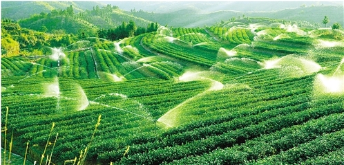 農業(yè)生態(tài)循環(huán),浙江領跑全國