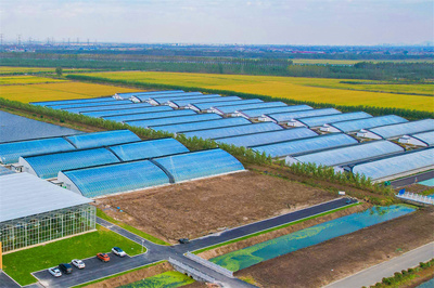 連云港海州:以奮進之姿譜寫高質發(fā)展新篇章