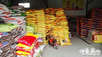 【春耕正當時】武山縣供銷社備足&ldquo;糧草&rdquo;保春耕(圖)--天水在線