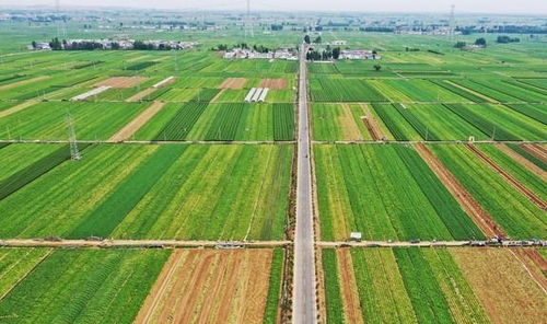 中國各個省份的 第一 ,廣東美食第一,剩下那17個省市想不到了