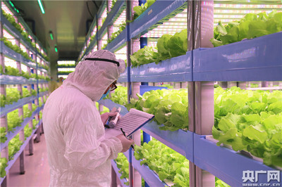 中央媒體走進世界最大植物工廠 探索新興光生物產業&ldquo;密碼&rdquo;