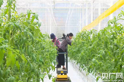 魚菜共生、數(shù)字魚 浙江德清讓農(nóng)業(yè)更智慧