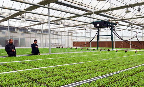 高質量推進鄉村振興