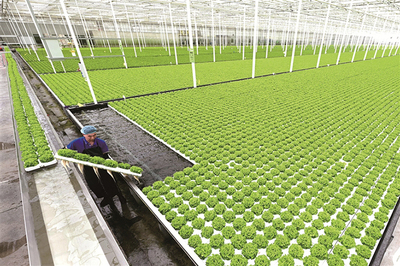 [中央紀委國家監委網站]兩會觀察丨大國強農向新行